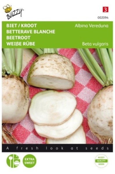 00209 Albina Vereduna9